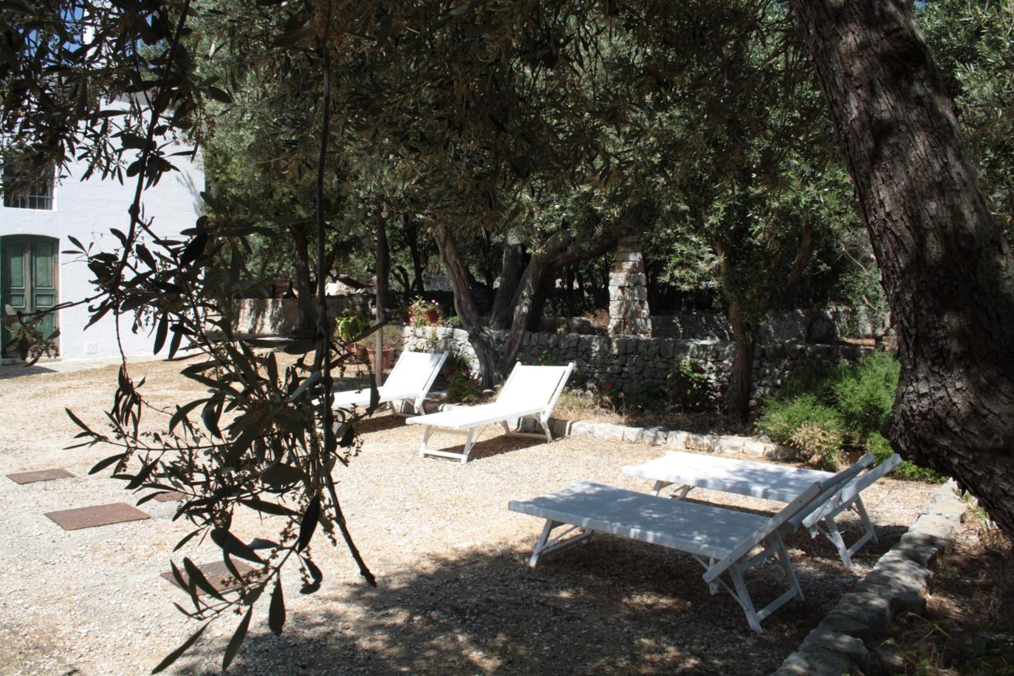 Masseria Trotta B&B Fasano Bagian luar foto